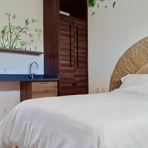  Appartement En La Riviera Maya Mexique